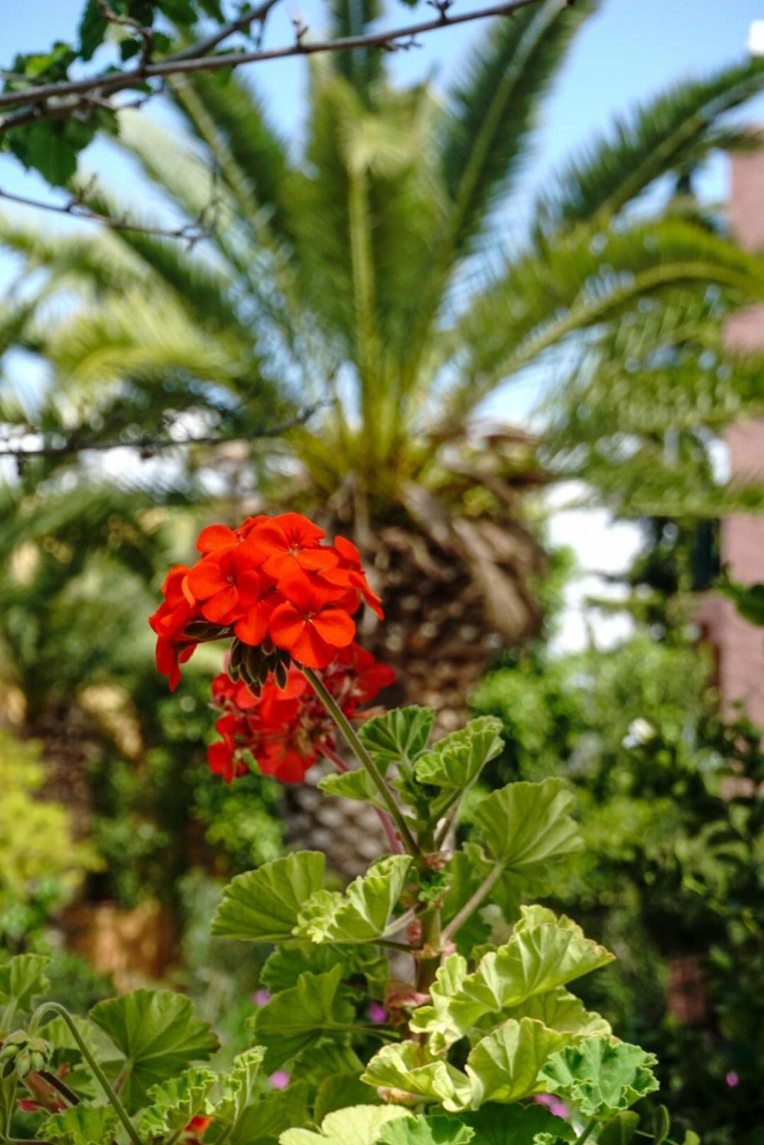 Vagia Traditional, Aegina Island Hotel Vagia (Aegina)